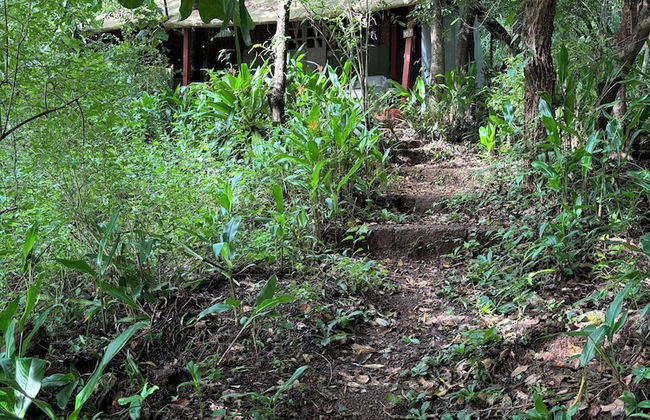 Khaama Kethna Wellbeing Retreat Centre - Foto 76