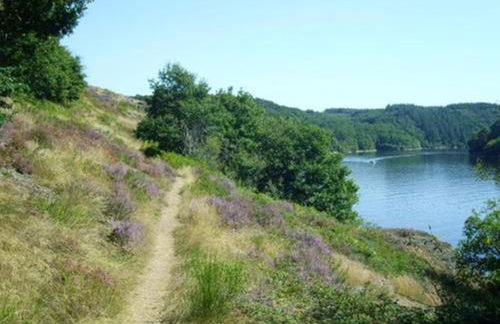 Gîtes LES Fougeres DU LAC - Foto 65