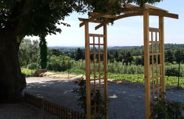 Mas du Tilleul - Foto 10