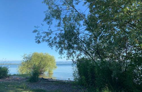 Seedomizil - Foto 31