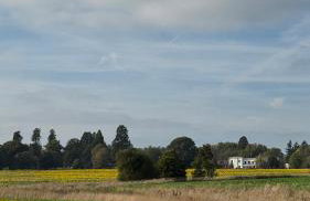 The TreeHouse Hideaway - Foto 18