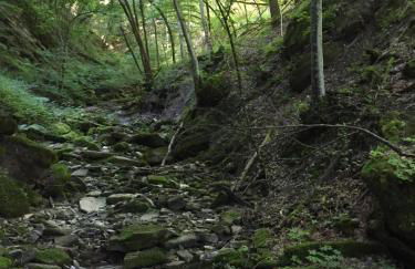 Casa con vista - Foto 31