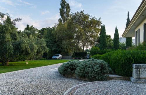 DH Epavlis - Photo 42