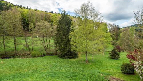 Fewo am Gaisbach - Foto 5