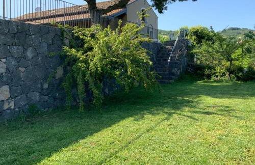 Terre di Monacella - Foto 21