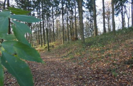 Ferienwohnung Schwalbennest - Foto 69