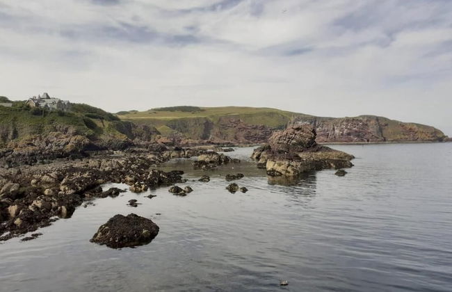 Elmbank House Apartment With Island Views - Foto 27