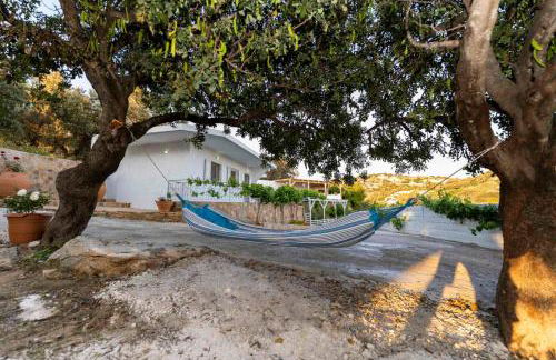 Mano's House - Foto 38