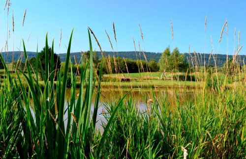Bies Czadowy Zakątek - Foto 34