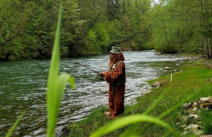 Tony's Riverside Oasis - Foto 26