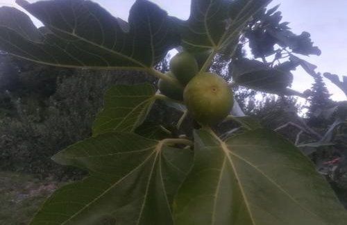 Apartman Pelcic,with WiFi and free parking - Foto 19