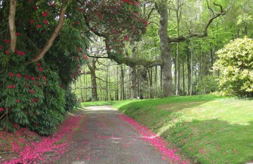 Gamekeeper's Cottage within historic Tregrehan Garden - Foto 19