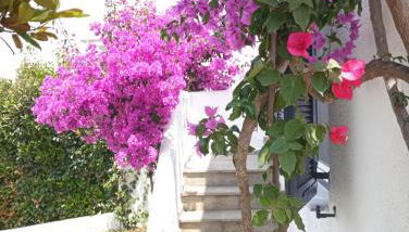 Villa Danai - Foto 4