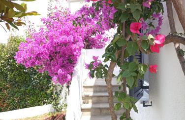 Villa Danai - Foto 4