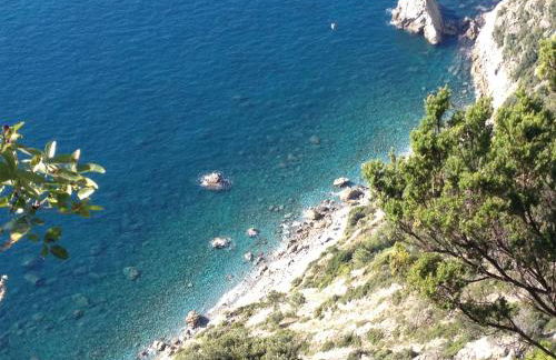 HOST IN LEVANTO - Maestrale con biciclette - Foto 35