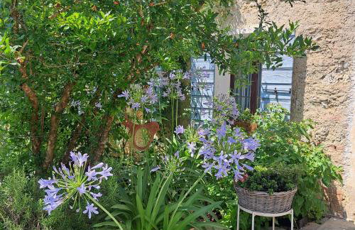 Casadesergio - Photo 44