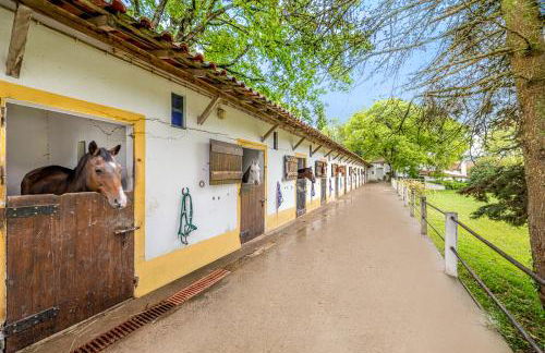 Quinta do Boição - Photo 23