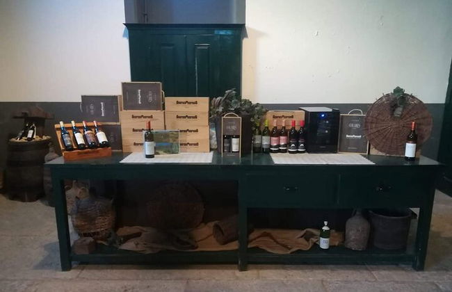 Private Tour Sintra mit Weinproben - Foto 11