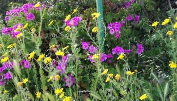 Domus de Janas - Foto 5