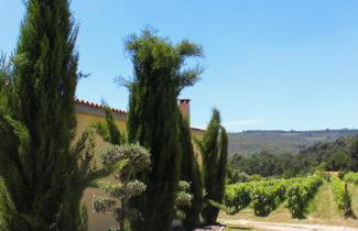 Quinta das Regueiras - Foto 44