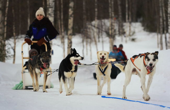 Hotel Katkavaara Aurora Apartments - Foto 13