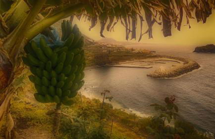 Modern sea front apartment in Garachico 2 - Foto 23