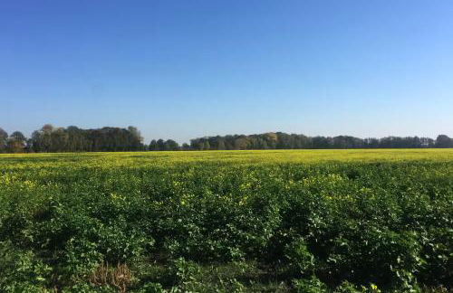 Landidyll - Bauernhaus Ländchen Bellin - Photo 48