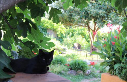 Varias Art House - Foto 45