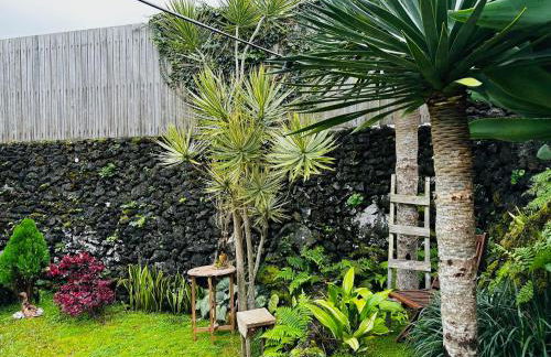 Portugal House - Foto 24