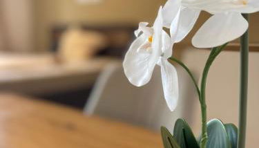 1-Zimmerwohnung mit Balkon - Foto 2