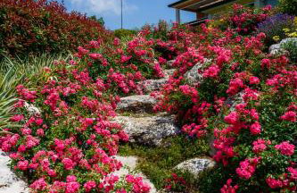 Villa GioAn - max 18, Private Playground and Sea View - Foto 67