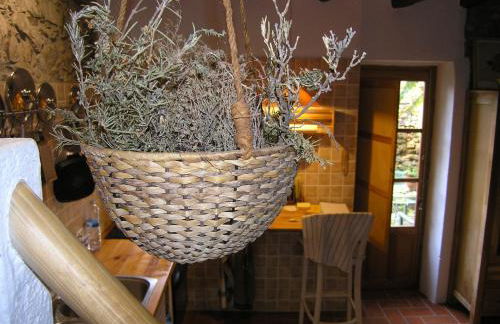 Cal Joanet, acollidora caseta a Gratallops - Foto 14