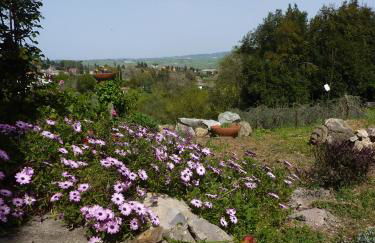Mare Colline Città d'Arte - Foto 27