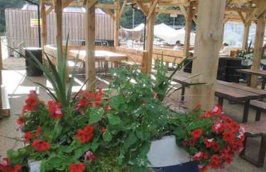 Bells Cottage - Explore Cornwall by rail - Foto 51