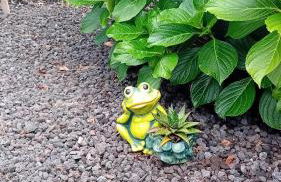 Sunflower Guest House - Madalena - Pico - Photo 43