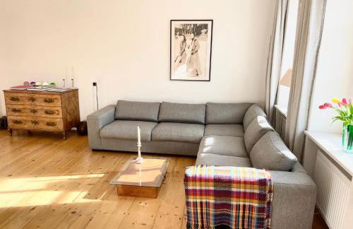 New furnished, exclusive large flat in City Center, 30min to Airport - Foto 2