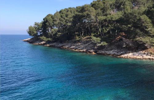 Apartmani Artatore - Foto 33