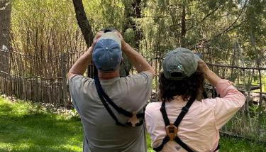 Create Lasting Memories: Family-Friendly Rustic Cabin in New Mexico's Backcountry - Foto 2