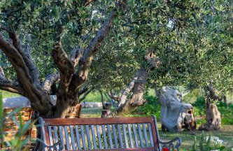 Villa Kucine Olives Garden by Istra Vacation - Foto 23