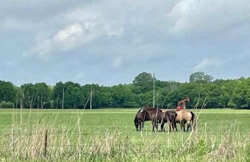 Private Large Family Retreat Near Lake Murray OK - Foto 27