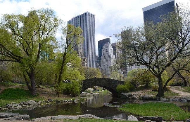 New York City Day Tour - Photo 9