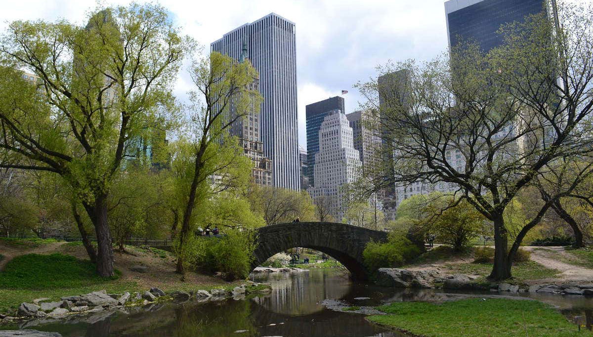 New York City Day Tour - Foto 2