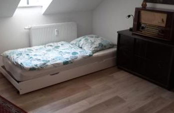 Ferienwohnung im roten Haus, die Therme ist fußläufig in 350m zu erreichen - Foto 23