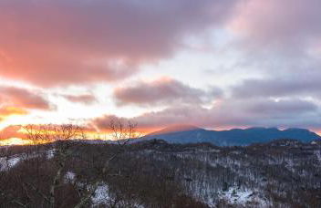 Bear The View - Foto 38