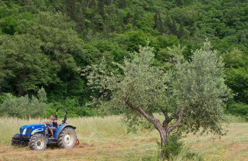 Agriturismo Il Ponticello - Foto 40