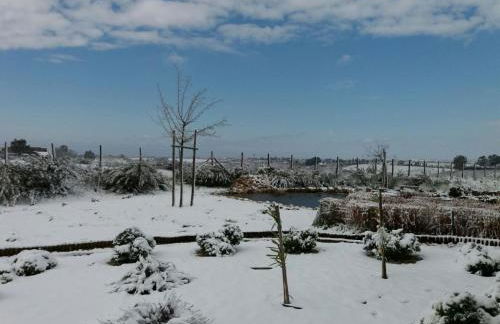 La collina delle fonti - Foto 31