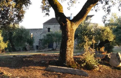 Viña Las Olivas - Foto 7