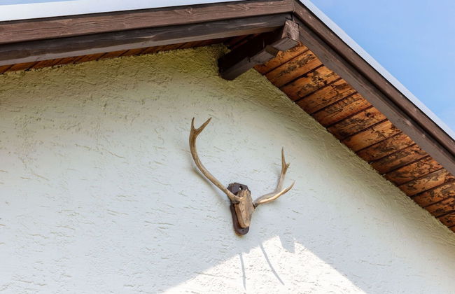 Ideal Holiday Home in Wutha-Farnroda near City Center - Foto 15