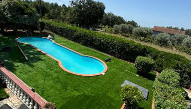 Nest of the Dao ninho do dão - Foto 5