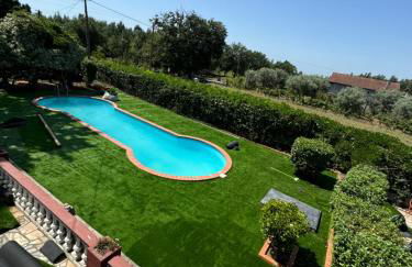 Nest of the Dao ninho do dão - Foto 5